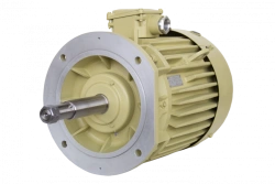 Three-phase asynchronous motors DMN200, DMMN200 (45 kW)
