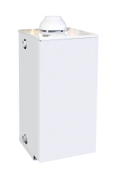 Gas water-heating apparatus AOGV 11,6-1 (B) "EUROSIT".