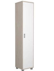 Wardrobe-cum-dressing cabinet FrShk1
