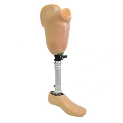 Modular tibial prosthesis, including for underdevelopment PN3-87 (including with silicone cover PN3-87.01)