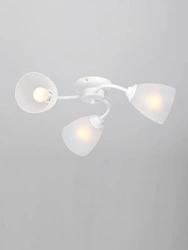 General purpose fixed luminaire V3597/3PL