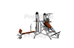 MS-0011-D. Four-position free-weight station