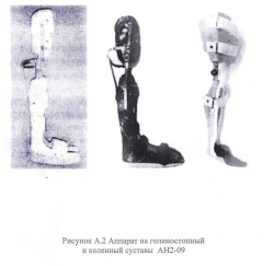 Ankle and knee joint apparatus AN2-09