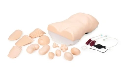 Abdominal Palpation Simulator, PE6412