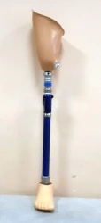Bathing hip prosthesis PH6-M-K