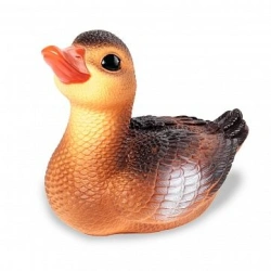 Duck Quinkie