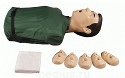 Spring-mechanical simulator for cardiopulmonary and brain resuscitation techniques "Maxim I"