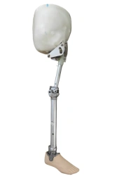 Hip replacement non-modular PN8-M-N