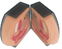 Intrauterine contraception trainer, B2