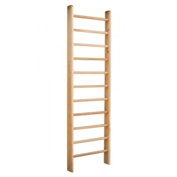 Gymnastic wall
