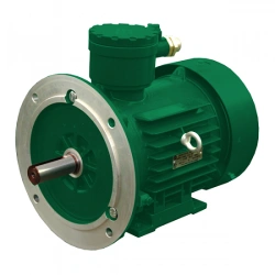 AIML 132 M2 asynchronous motors