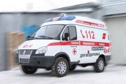 Ambulance, type 38406B, modification 384065, category N1G, with petrol engine on the basis of vehicle/chassis GA