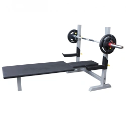 Bench with racks for bench press for disabled people