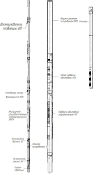 Complex of equipment for well support of KOCS type