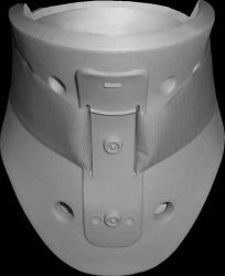 Head holder of rigid fixation