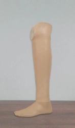 Tibial prosthesis for bathing PN3-K.1