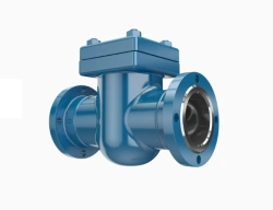 Check valve PT41013
