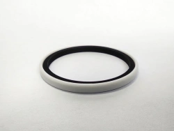 Two-component piston seal f50