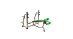 BP - 008 Bench Press with reverse incline