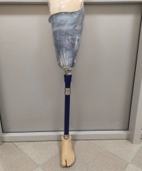 Hip prosthesis for bathing