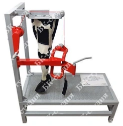 Simulator "Practising skills in the speciality of Veterinary Medicine".
