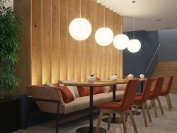 Pendant luminaire SPHERE P 25 IP40 3000K