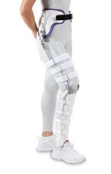 Knee and hip joint apparatus