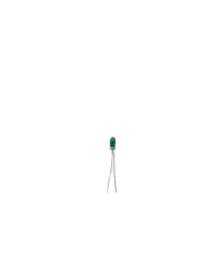 Superminiature incandescent lamp SMNZ 6-80-2