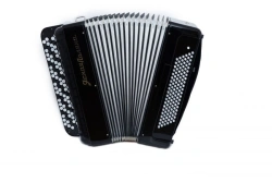 Concert double-voiced accordion "Yasnaya Polyana" 112/67x120/57-II