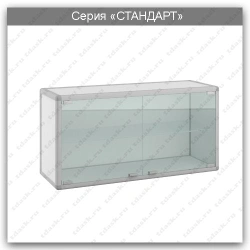Standard Plus Series Hinged Laboratory Cabinet: SHN.02.01