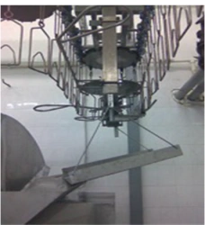 Carcass dumping device