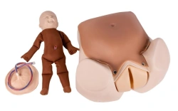 Obstetric phantom for demonstration of biomechanism of labour ZIK-24