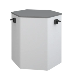 Service cabinet physical