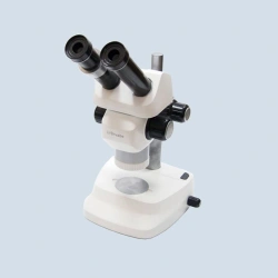 MBS-10M stereoscopic microscope