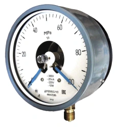 Pressure gauge DM2005Cr