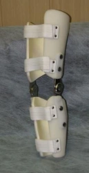 Knee joint apparatus