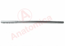Femoral reconstructive rod