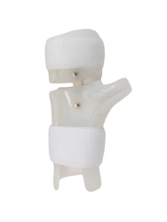 Hand and wrist AR2-11 apparatus