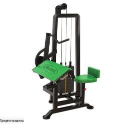 Triceps Machine Weightlifting Machine