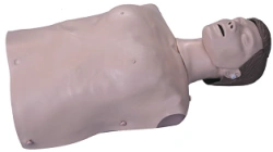 Basic mannequin (torso) for CPR, CPR1900 / CPR190