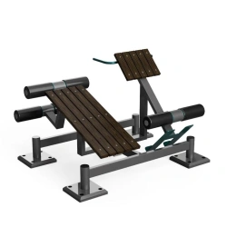 Outdoor dual training machine for back extensors and gluteus maximus muscles MS-1-MS764.07