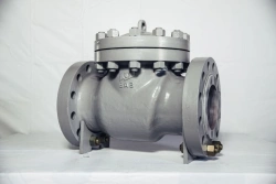 Check gates ZO DN 50-400 PN 1,6-25,0 MPa