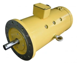 Electric motor of direct current DP216