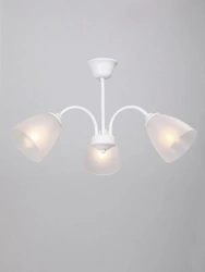 General purpose fixed luminaire V3950-0/3PL