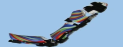 Apparatus for wrist, elbow and shoulder joints