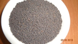 Refractory Products