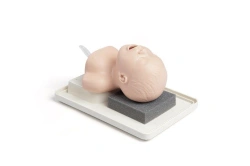 Newborn model for intubation PS6247/6249/2A