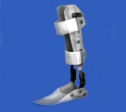 Ankle apparatus AN0-34-OK