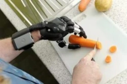 Microprocessor-controlled wrist prosthesis, including separation and partial separation of the hand.