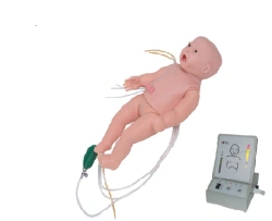Multifunctional infant mannequin (neonatal period) for nursing, CPR, auscultation, Art.No.T435